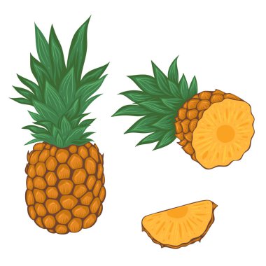 Beyaz arka planda izole edilmiş ananas ve ananas dilimleri. Vektör resmi.