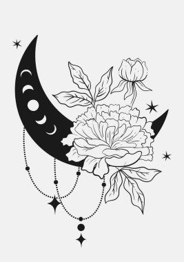 Beyaz arka planda izole dekoratif elementlerle çiçek açan ay. Vektör resmi.