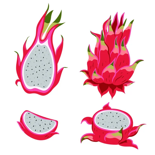 Pitahaya Fruits Isolés Sur Fond Blanc Image Vectorielle — Image vectorielle