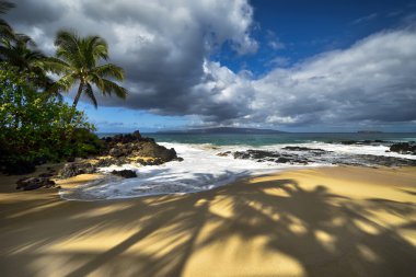 Shadows of palm trees at Secret beach, Maui, Hawaii, USA clipart