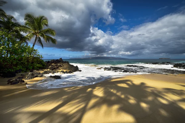 Árnyékok a pálmafák, a titkos beach, Maui, Hawaii, Amerikai Egyesült Államok — Stock Fotó