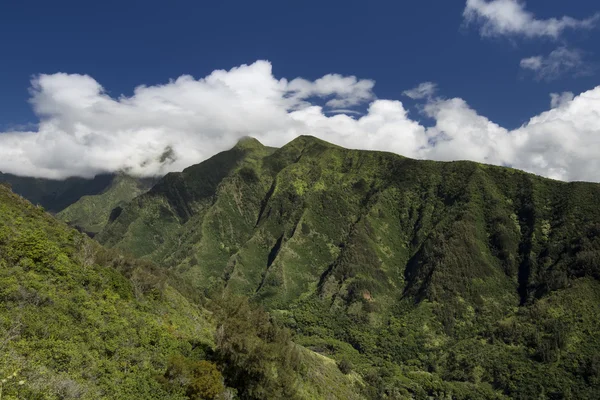 イアオ渓谷、マウイ島、ハワイ、アメリカで山の中腹 — ストック写真