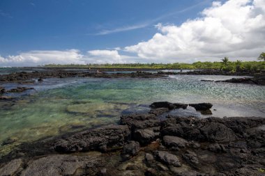 Kapoho gel-git havuzları, şnorkelle yüzme. Büyük Ada, Hawaii