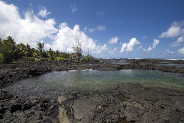 Kapoho gel-git havuzları, şnorkelle yüzme. Büyük Ada, Hawaii