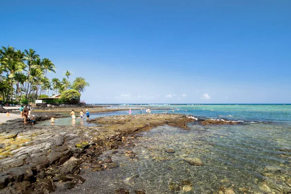 Kahaluu Beach Park Mergulho Com Snorkel Ilha Grande Havaí — Fotografia de Stock