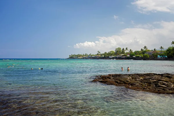 Kahaluu Sahil Parkı Şnorkelle Yüzmek Büyük Ada Hawaii — Stok fotoğraf