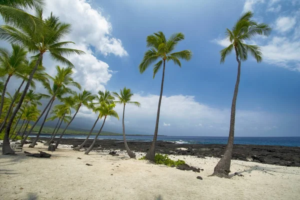 Camino 1871 Bahía Alabama Parque Histórico Nacional Uhonua Hnaunau Isla — Foto de Stock