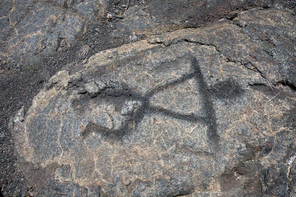 Loa Petroglyphs Parque Nacional Dos Vulcões Ilha Grande Havaí — Fotografia de Stock