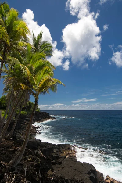 Palmbomen Kustlijn Langs Weg Tonijn Zuidkust Big Island Hawaii — Stockfoto