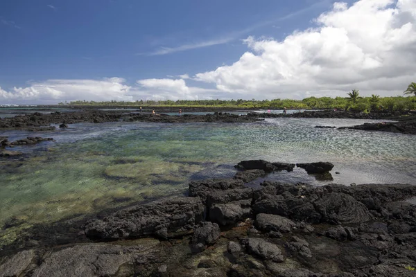 Kapoho Gel Git Havuzları Şnorkelle Yüzme Büyük Ada Hawaii — Stok fotoğraf