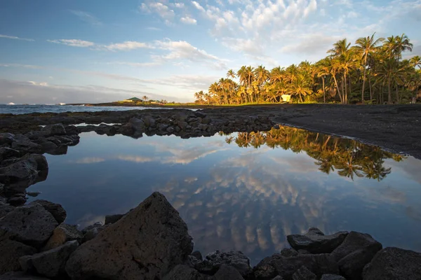Παραλία Punalu Νότια Ακτή Μεγάλο Νησί Χαβάη Royalty Free Εικόνες Αρχείου