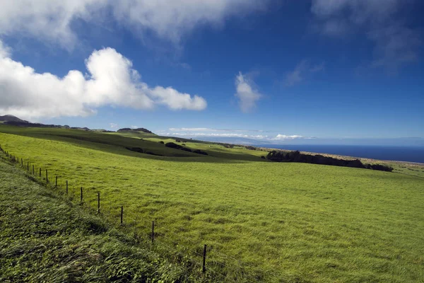 Terreni Agricoli Sulla Grande Isola Delle Hawaii — Foto Stock