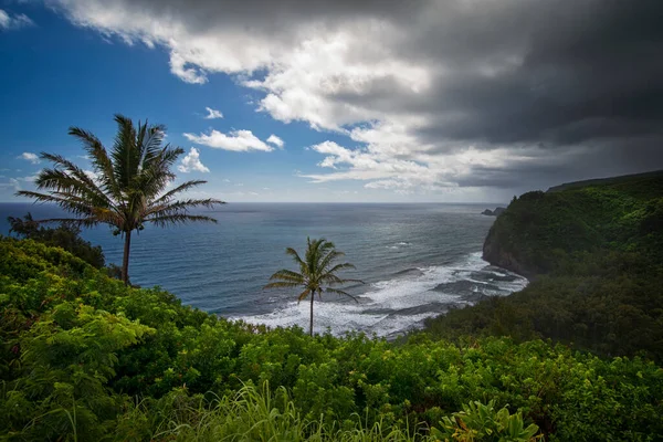 Pololu Völgy Ösvényről Nagy Sziget Hawaii — Stock Fotó