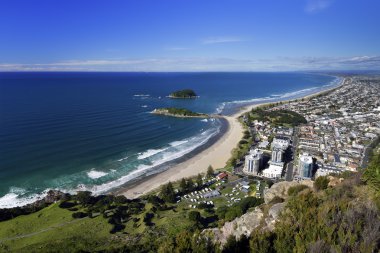 Mount Maunganui beach from the summit walking track clipart