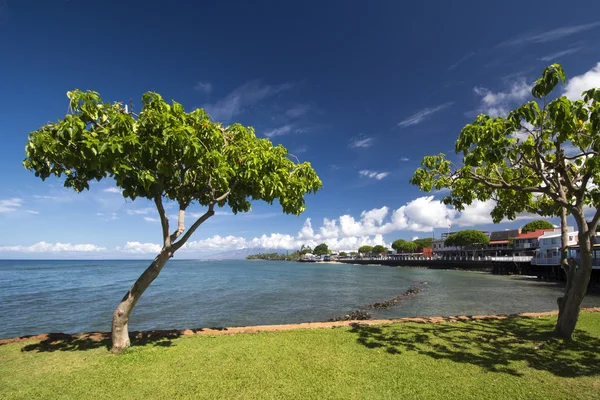 Vista da rua da frente de Lahaina, Maui, Havaí — Fotografia de Stock