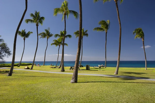 Kahekili Beach Park Maui, Hawaii Batı kıyısında — Stok fotoğraf