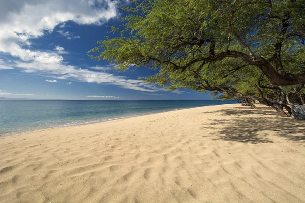 Papalaua Beach, state wayside park, Maui, Hawaii — Stock Photo, Image