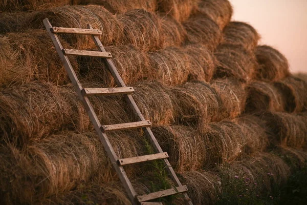 Wooden old handmade staircase in a village near a haystack dry grass in autumn at sunset romantic rustic vintage relaxation — Stock Photo, Image