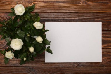 arkaplan masaüstü tahtası ahşap arka planda beyaz bayram klasiği