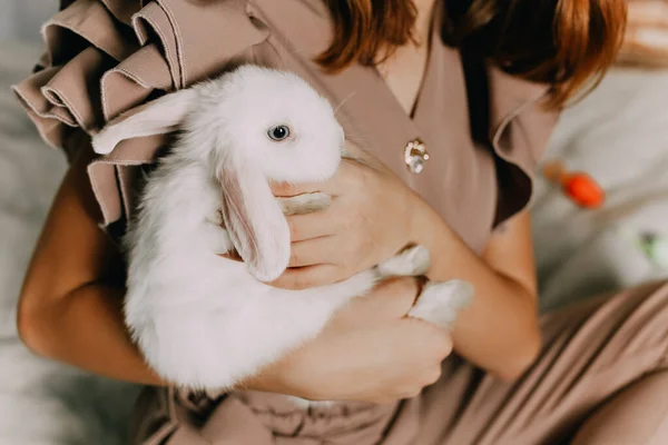 Девочка и кролики. Пасхальные символы, домашние кролики — стоковое фото