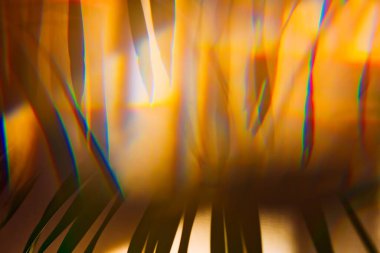 Palmiye yaprakları ve güneş ışınlarıyla bulanık, bulanık, bulanık arkaplan.