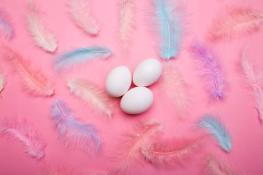 Pembe arka planda beyaz tavuk yumurtaları. Mavi ve pembe tüyler arasında.