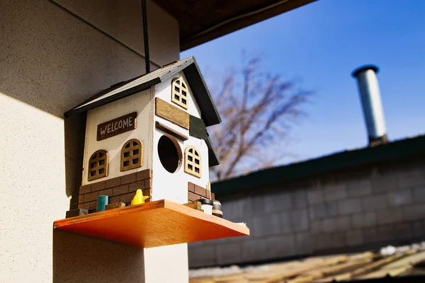 Drewniany domek dla ptaków, miejsce karmienia. Wieszanie domku na drzewie. — Zdjęcie stockowe
