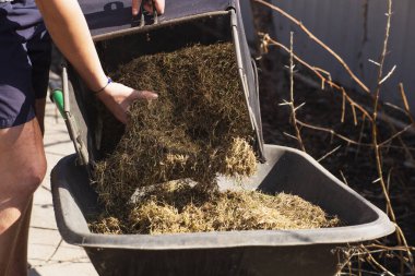 Kuru otlarla dolu bir el arabası baharda veya sonbaharda bahçeyi ve kuru çimenleri temizler. Bahçeden, araziden bitki atıklarının çıkarılması