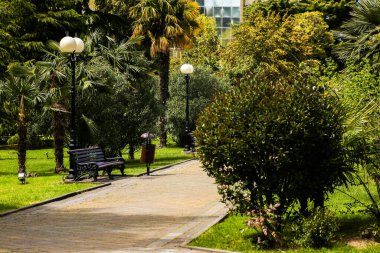 Yaz zamanı şehir parkında bankları olan boş bir sokak.