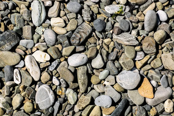 Fondo de guijarros de piedra, al aire libre río natural blanco piedras grises tamaño pequeño, abstracto jardín seco piedras redondas textura fondo — Foto de Stock