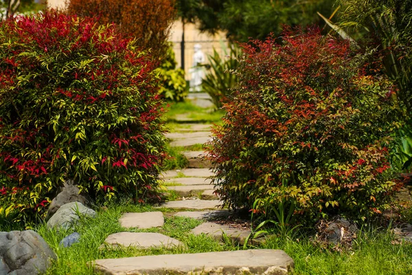 Un camino de piedra serpentea en un jardín, un patio trasero o diseño de parque, un diseño de paisaje de una parcela privada, una casa de campo —  Fotos de Stock
