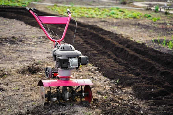 Cultivador de gasolina, labranza del suelo, aflojamiento. Plow, agricultura de jardinería tractor. —  Fotos de Stock