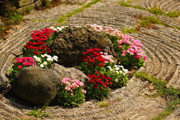 Round flower bed in original design, various colors of bright flowers of white, pink red daisies, petunias. Landscaping of parks, gardens, country villas on the street.