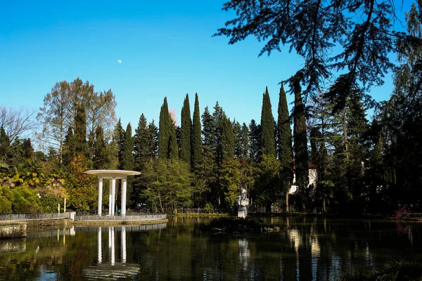 Rotonda en el Sochi Arboretum, un lago para patos y un bosque siempreverde de pino y thuja —  Fotos de Stock