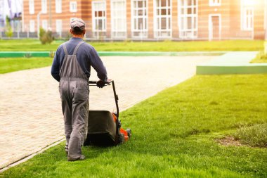 Bahçede çim biçme makinesiyle çim biçen bir adam. Bahçe işleri kırsal yaşam tarzı. Güneş ışığında taze yeşil çimlerin manzarası baharda ya da yaz mevsiminde bahçe manzarası