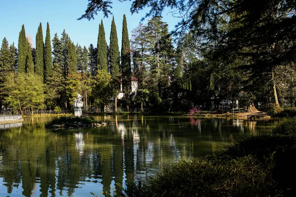 Estanque de jardín mágico. Abeto, tui y otros perennes en la orilla se reflejan en la superficie del agua. Ambiente de relajación —  Fotos de Stock