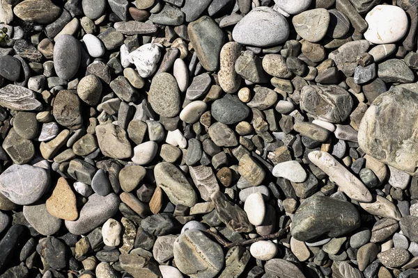 Kamień żwirowa tło, odkryty naturalny rzeka biały szary kamień kamienie małe rozmiary, abstrakcyjny suchy ogród okrągły kamienie tekstury tło — Zdjęcie stockowe