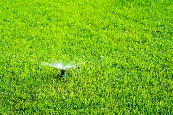 Автоматическая система полива газона на фоне зеленой травы — стоковое фото