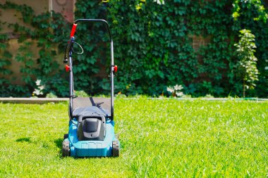 Çim biçme makinesi yeşil çimenleri buduyor. Çim kesimi