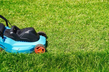 Çim biçme makinesi yeşil çimenleri buduyor. Çim kesimi