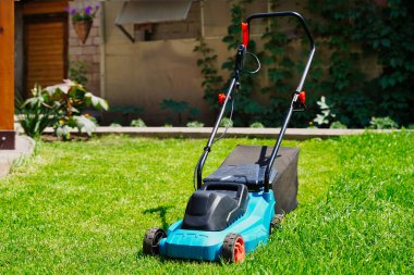 Çim biçme makinesi yeşil çimenleri buduyor. Çim kesimi