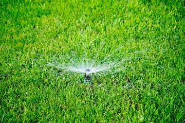 Otomatik fıskiye sistemi yeşil çimlerin arka planında çimleri suluyor