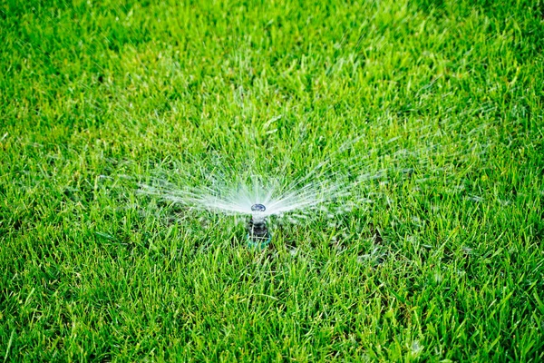 Automatic sprinkler system watering the lawn on a background of green grass Stock Photo