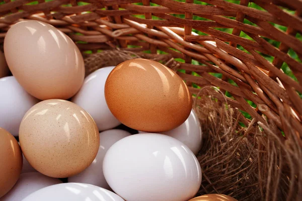 Organik kırsal beyaz ve kahverengi tavuk yumurtaları sepetteki doğal beze yakın plan ve küçük sarı tavuk, köyden organik gıda..