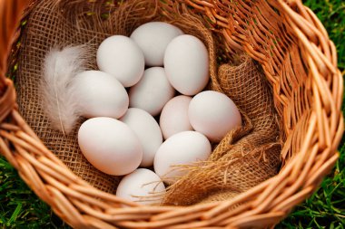 Hasır bir kırda organik beyaz yumurtalar yatıyor.