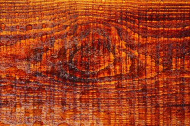 Close-up of wooden surface in drops of water. Wet wood texture. Water drops on a rustic wooden board. Empty place for text or creative design. Clapboard,desk or table