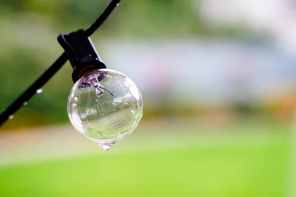 Waterproof outdoor light bulbs hang wet from the rain on a natural background —  Fotos de Stock