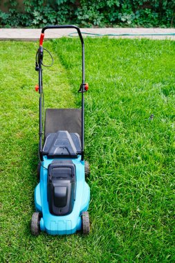 Çim biçme makinesi yeşil çimenleri buduyor. Çim kesimi