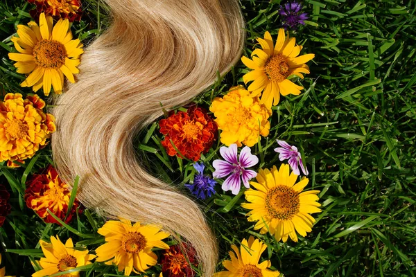 Une mèche de cheveux blonds parmi les fleurs, sur l'herbe verte. Concept de santé capillaire, ingrédients naturels cosmétiques, soins capillaires, santé et force. — Photo