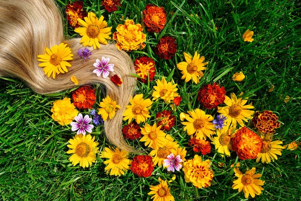 Une mèche de cheveux blonds parmi les fleurs, sur l'herbe verte. Concept de santé capillaire, ingrédients naturels cosmétiques, soins capillaires, santé et force. — Photo